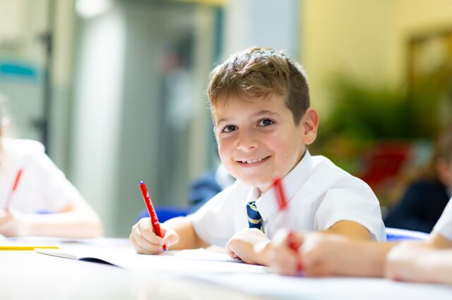 Curriculum